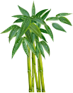 原味